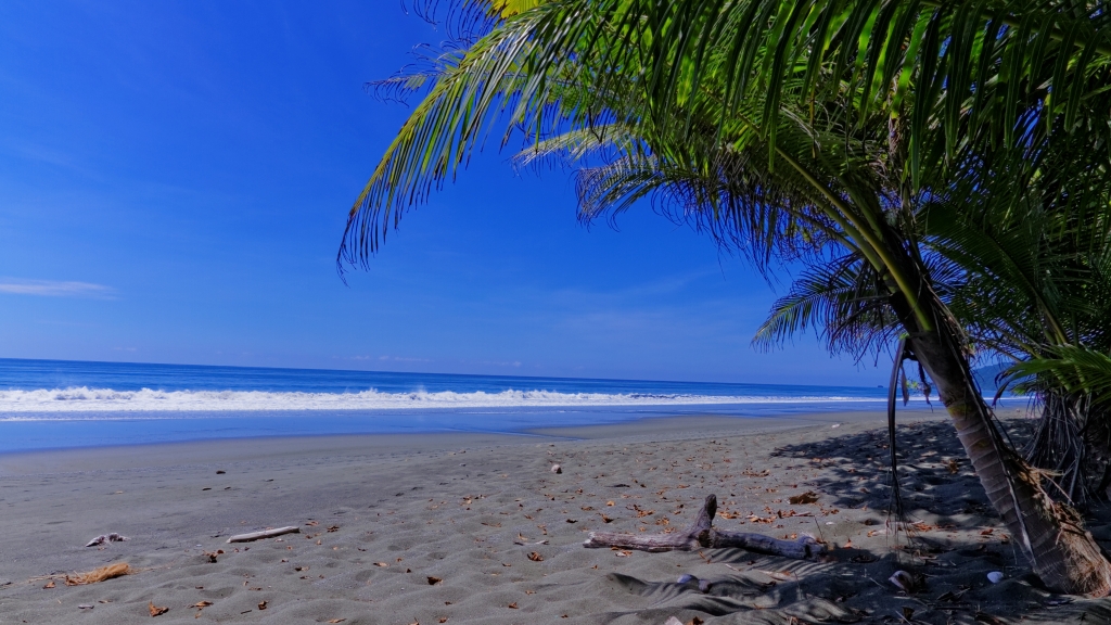 11 - Corcovado NP (10).jpg